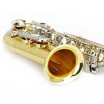 Amazon.co.jp: Eフラットアルトフォールヘッドアニクルプラタ
