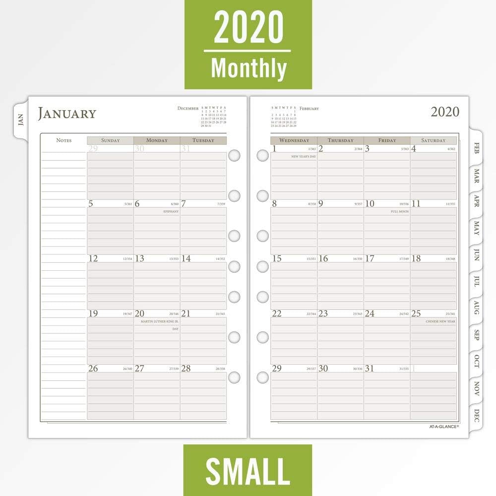 AT-A-GLANCE 2020 Monthly Planner Refill, Day Runner, 5-1/2" x 8-1/2", Desk Size 4, Two Pages Per Month, Loose Leaf (481-685Y) (481-685Y-20)