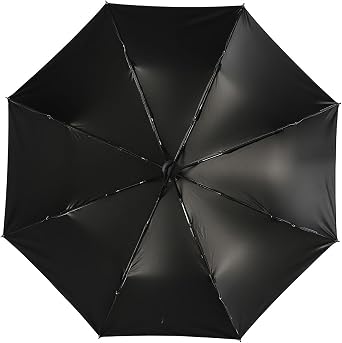 Windproof Travel Umbrella,Wild Goose Island Sunset,Compact Umbrellas For Rain Automatic Folding Umbrella Perfect For Commute & Trip
