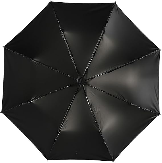 Windproof Travel Umbrella,Wild Goose Island Sunset,Compact Umbrellas For Rain Automatic Folding Umbrella Perfect For Commute & Trip