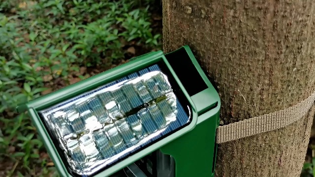 Mangeoire à Oiseaux Avec Caméra Solaire 2K – Détection IA, Notifications Temps Réel – Réservoir 1,25 L – IP65 étanche – Pour Jardin