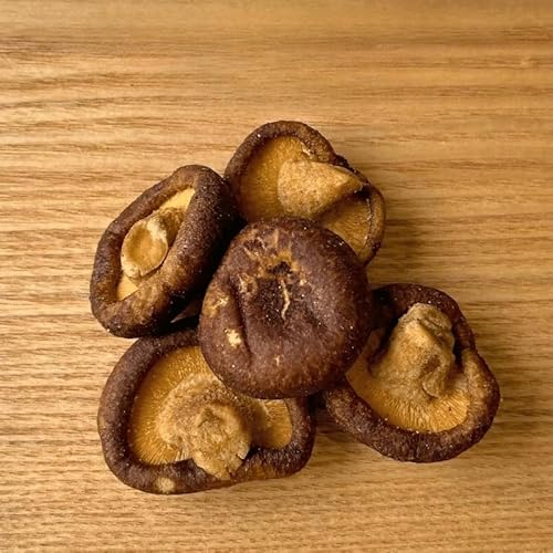 őXibN ؃`bv  `bv  (300)