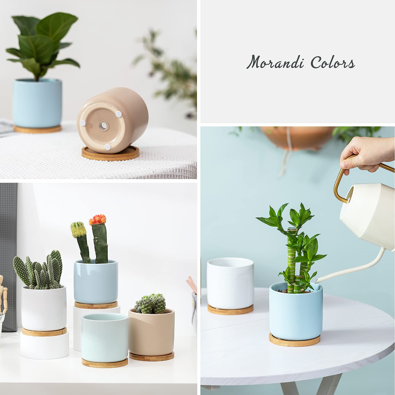 Keramik-Blumentöpfe mit Ablaufloch und Untersetzer, kleine, moderne Blumentöpfe mit Tabletts für Sukkulenten, Kakteen und Kräuter, Morandi-Farben, 4 Stück | Entwässerungsloch und Untersetzer, kleine moderne Blumentöpfe für Sukkulenten, Kakteen und Kräuter