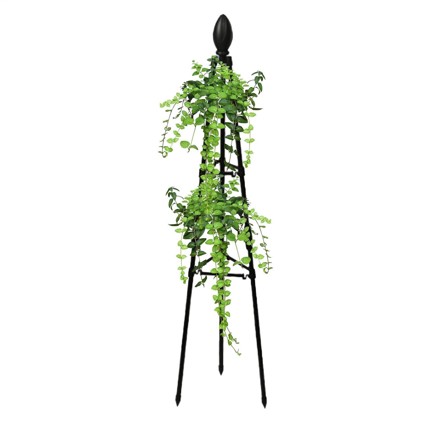 Trellis for Climbing Plants Flower Climbing Rack