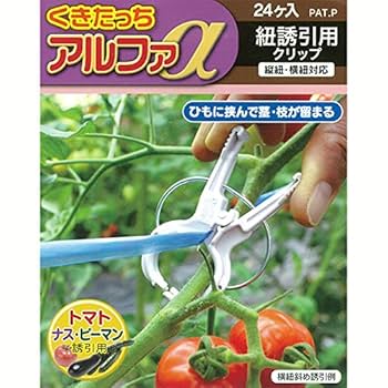 【Yang】くきたっちアルファ2800個その① Yang】くきたっちアルファ2800個その① 商品紹介】くきたっち