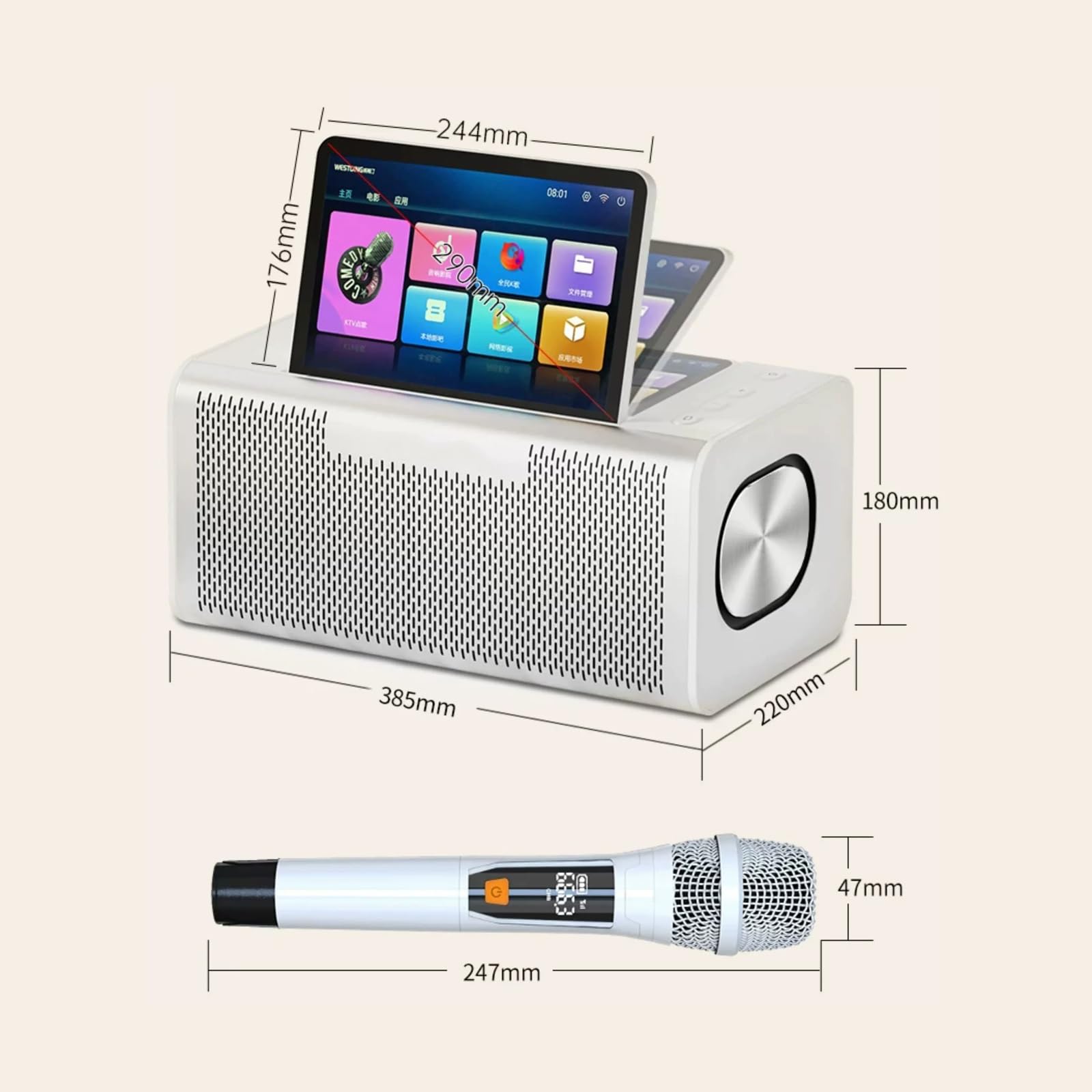Cassa Karaoke con 2 Microfoni Wireless Schermo HD da 10,1 Pollici
