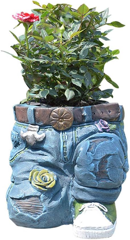 vaso per succulente con drenaggio 10 pollici