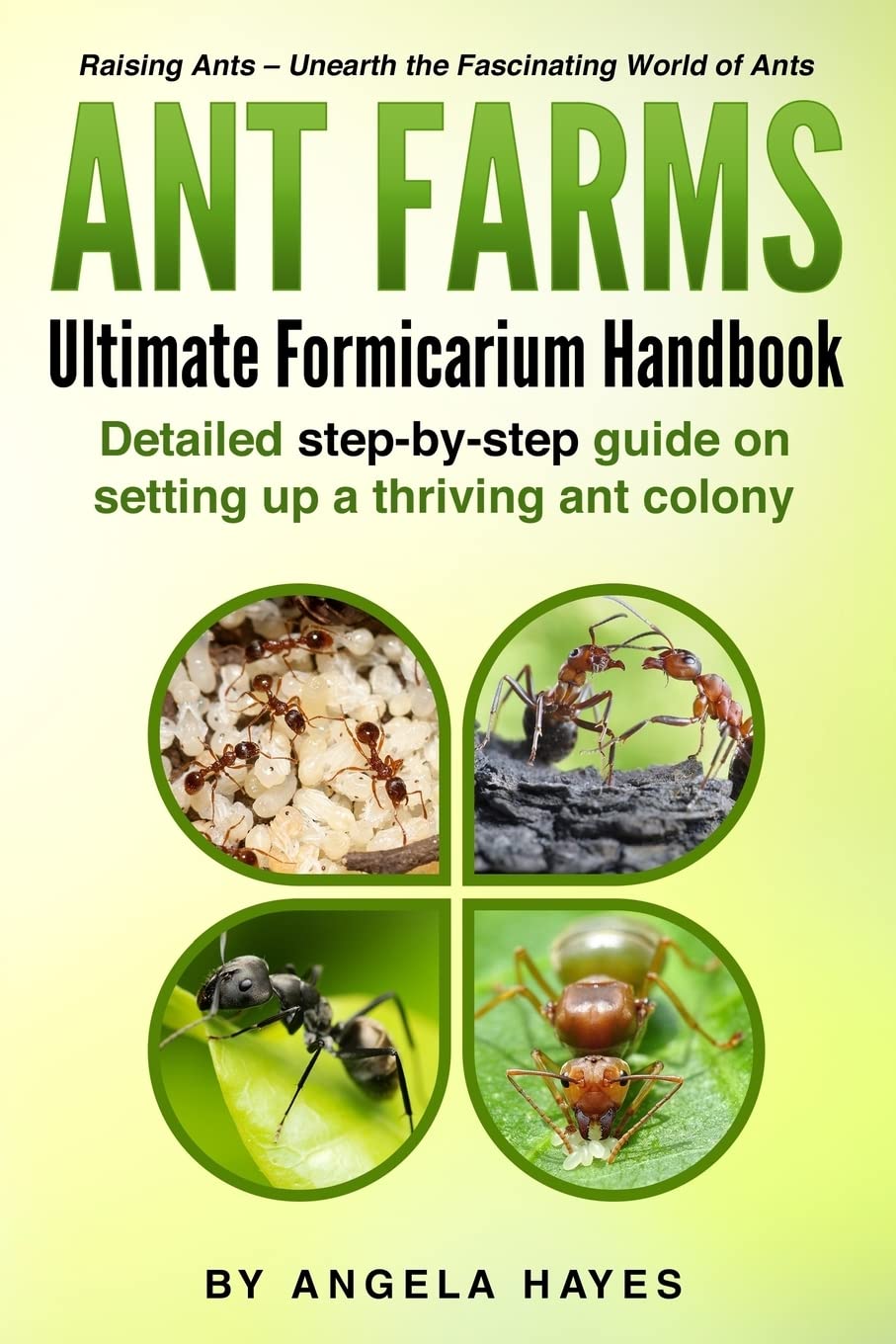 Ant Farms - The Ultimate Formicarium Handbook: Detailed Step-by-Step Guide to Setting Up a Thriving Ant Colony