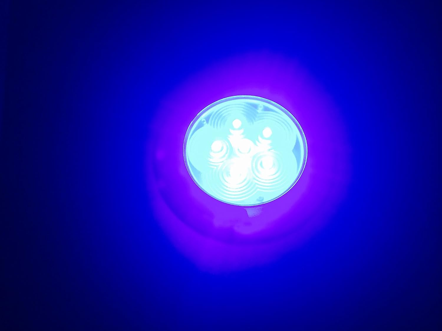 Pactrade Marine 2PCS Boat Trailer 6 LED Blue Ceiling Courtesy Light S.S Rim