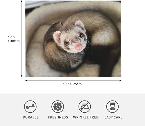 Miniatura 4 de Hcokrzt Mantas y mantas Sloth Follow Your Dreams de franela mullida de felpa para niños, niñas y mujeres, dormitorio, sofá, oficina, sofá de 60 x 50