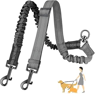 Eyein Doppelte Hundeleine, Verhedderungsfreie 360° drehbare Doppelleinen mit 2 Hunden, Verstellbare reflektierende Splitterleine für kleine mittelgroße und große Hunde, Schwarz & Grau, M