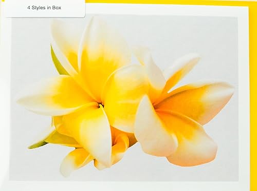 Miniatura 74 de Blooming Flowers – Orquídea Phalaenopsis – Tarjetas fotográficas de alta gama, pesadas y suaves, 8 con 10 sobres de colores, juego en caja