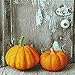 Produktbild Servietten (2er Set / 40Stück) 3-lagig 33x33cm Kürbis Herbst Two Pumpkins