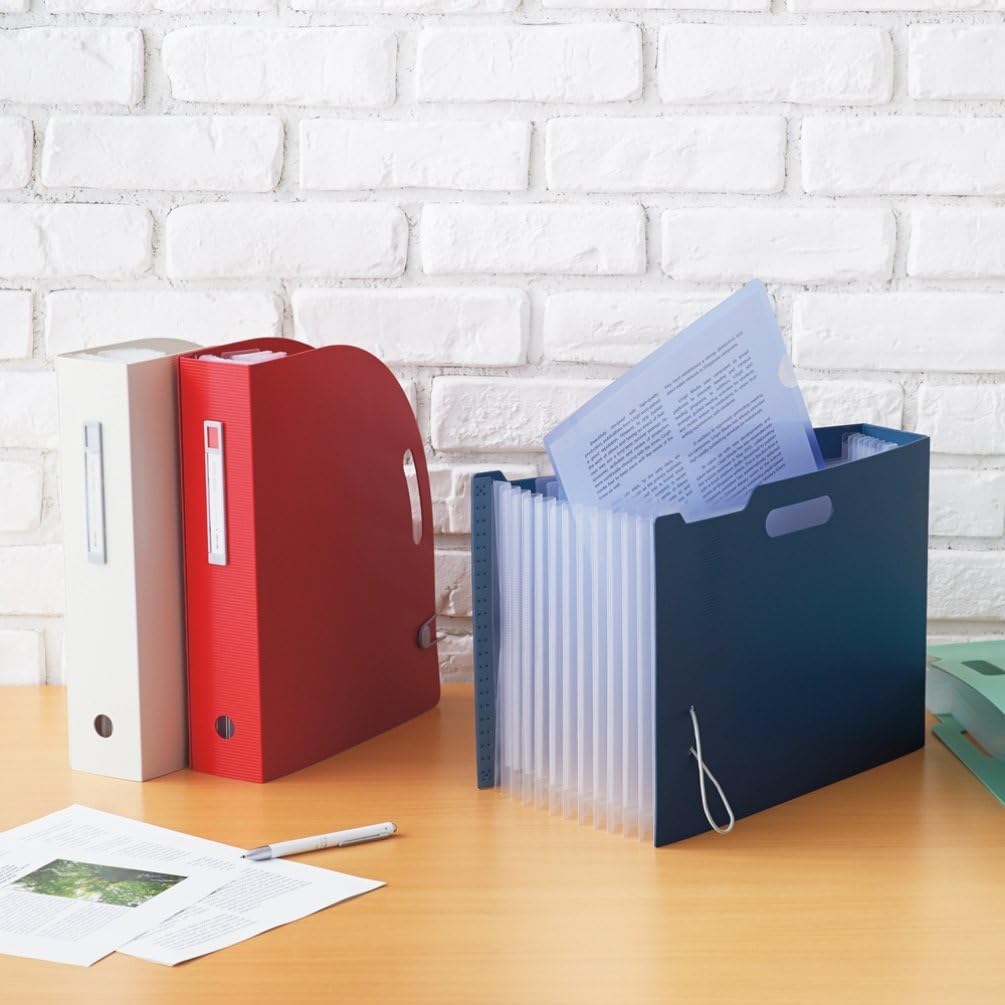 Lihit Lab F7690-0 Document Box, A4, Vertical, White