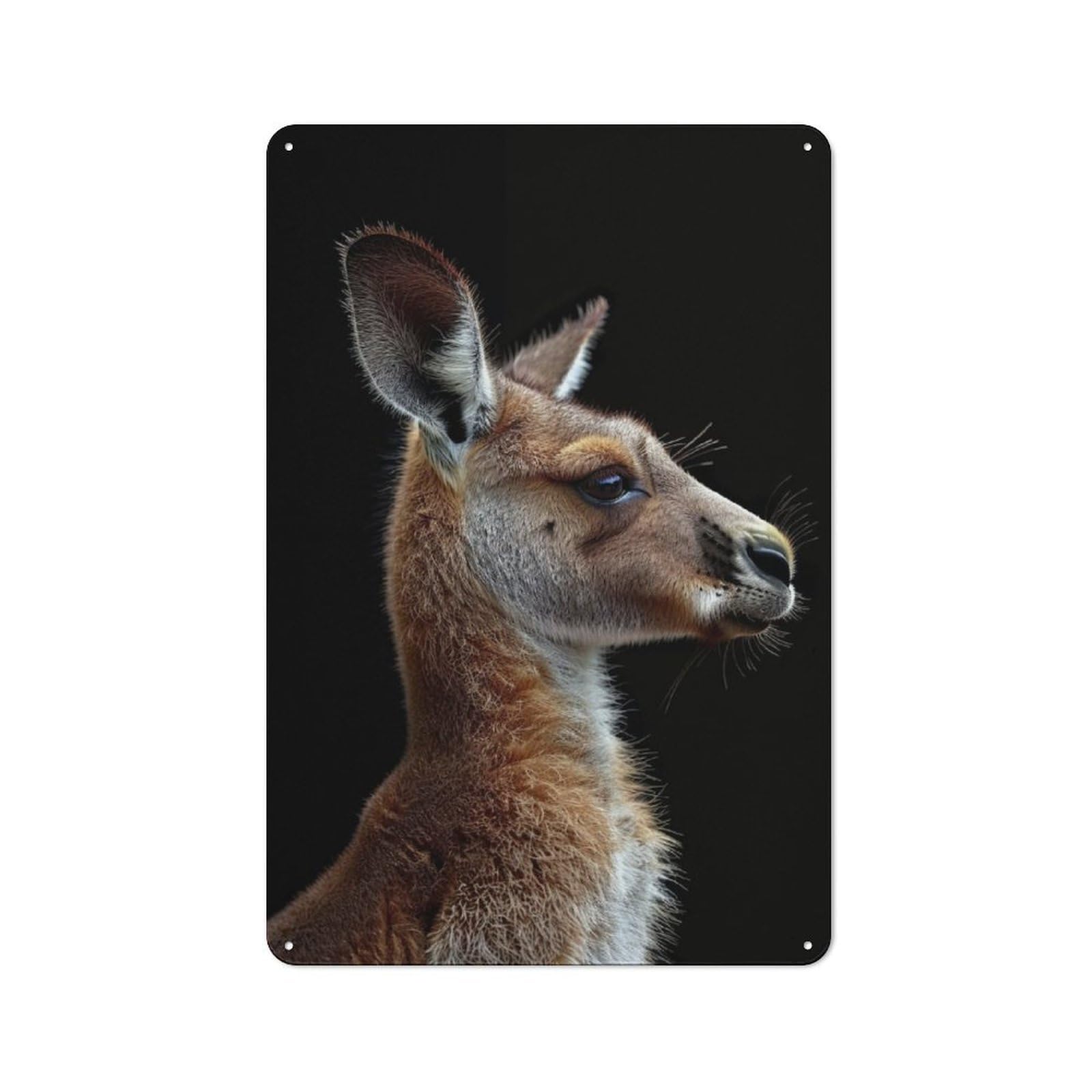 Simple Retro Kangaroo Metal Wall Plaque 30x20cm, Creative Space Decor for Office, Study, Studio Or Hallway
