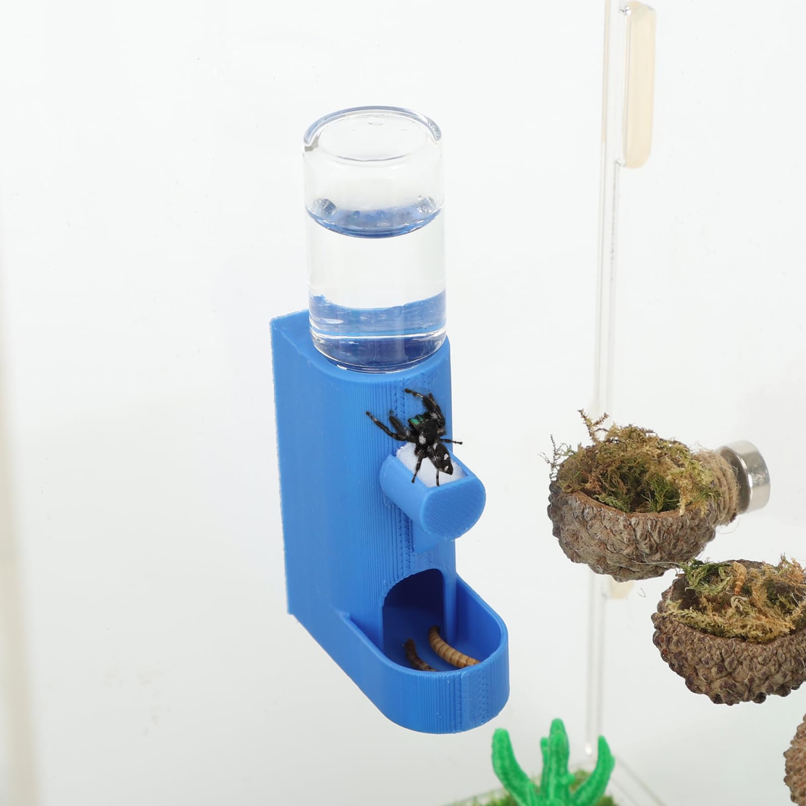 Daerky Small Animal Water Feeder, Magnetic Hanging Feeder & Hidden Cave - Accessories for Jumping Spiders, Wolf Spiders, Mantises, Arboreal Animals & Other Small Creatures - 5ML Capacity (Blue)