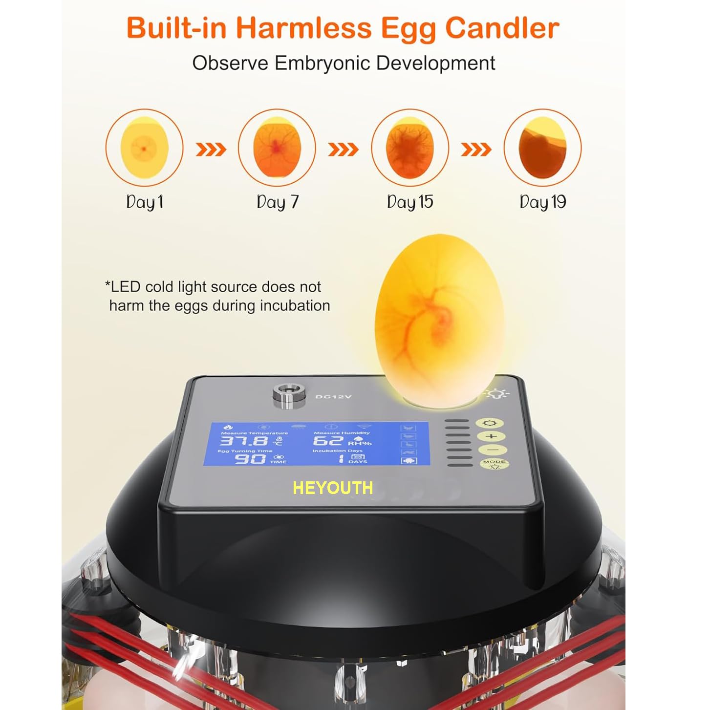Incubadora de Huevos de Aves,Incubadora Volteo Automatico, Incubadora de 12-24 Huevos,con Control de Temperatura Monitoreo de Humedad,Tapa Transparente ABS,para gallinas,Patos,Gansos,Codornices