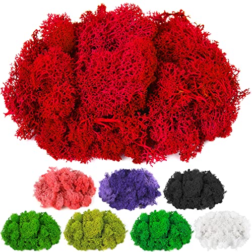 CCINEE Moss Preserved, 4 OZ Fake Reindeer Moss for Potted Plants for Craft Arts Floral Wall Decor Wedding Centerpieces Fairy Garden Artificial Terrariums Decoration for Christmas(Rose Pink)