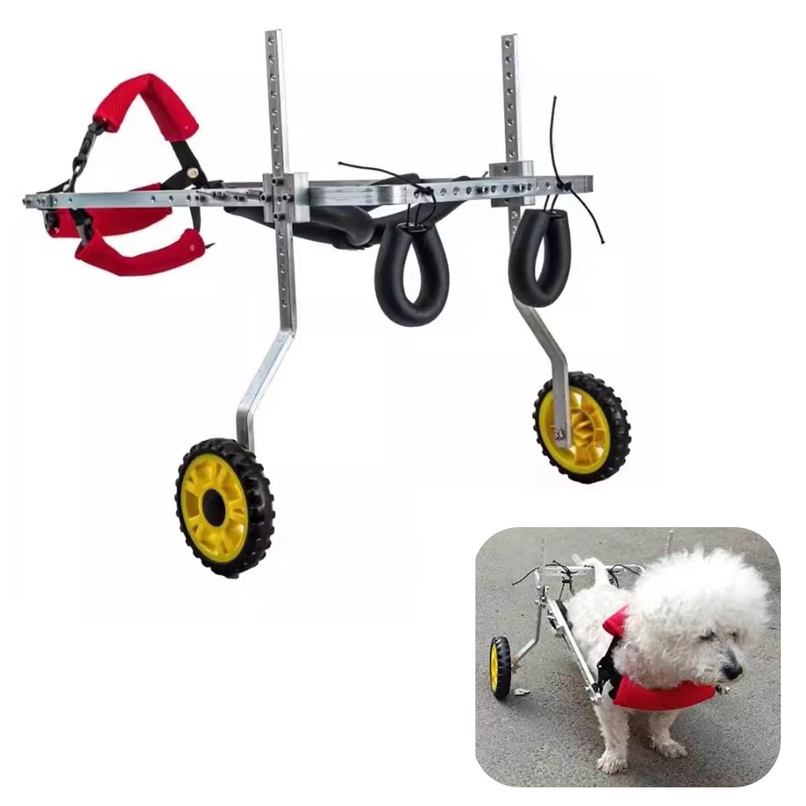 Silla de ruedas para perros pequeños a grandes que soluciona la falta de movilidad trasera