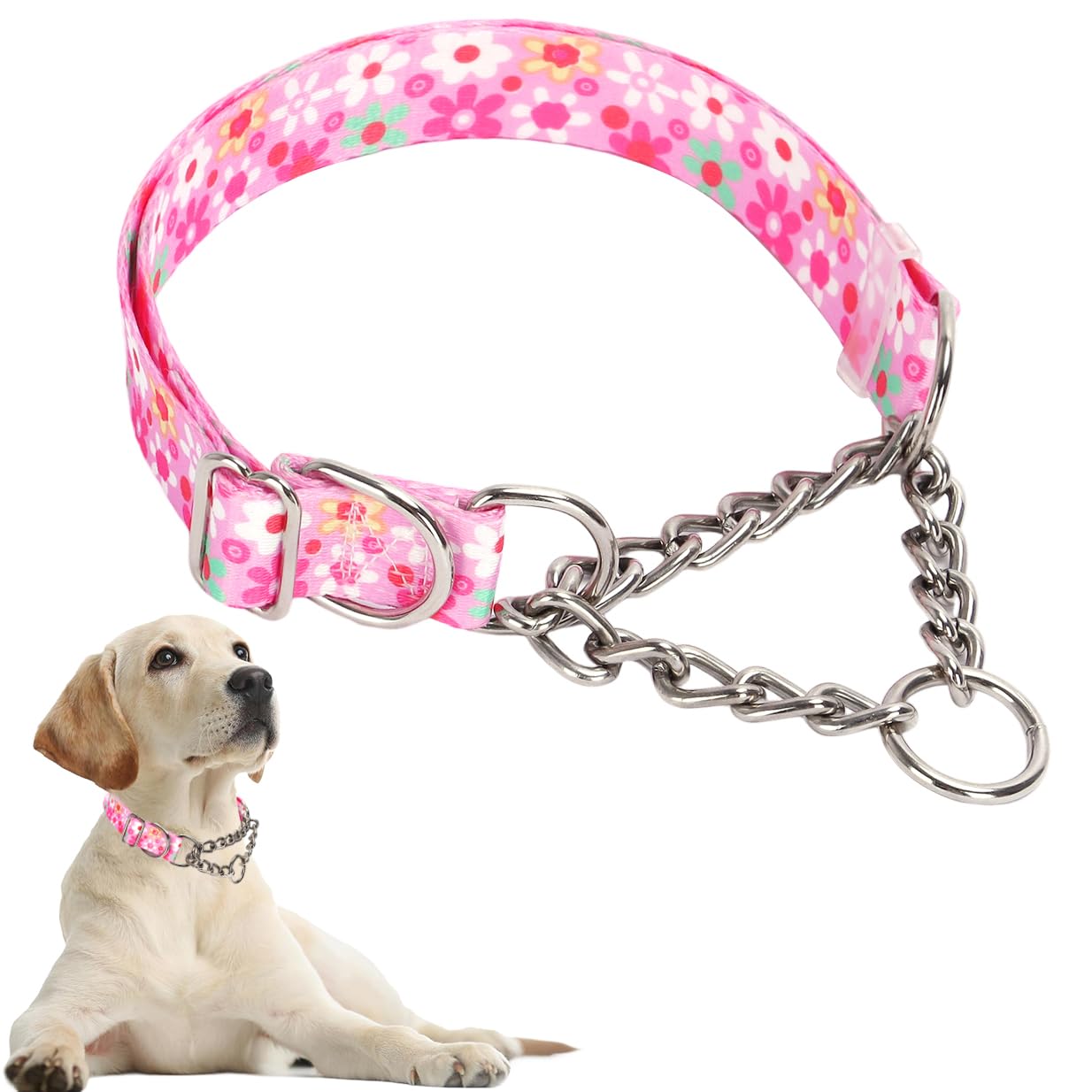 Chain Dog Collar