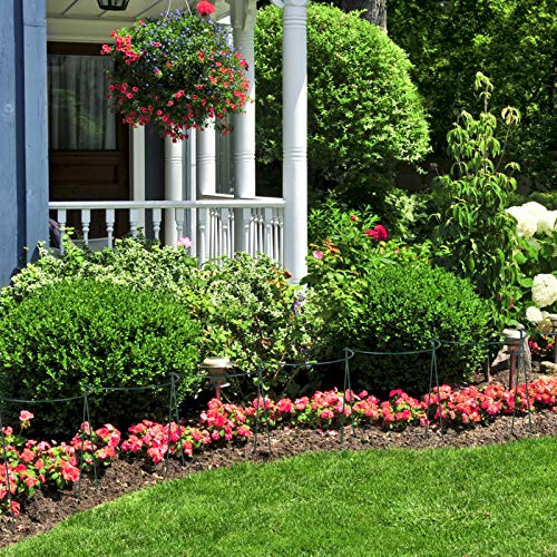 LouisaYork Tuinrand Plant Ondersteuning, 2 Stks Hoge Plant Ondersteunt Plant Ondersteuning Tuin Staken Tuin Hoepel Halfrond voor Pioenrozen, Hortensia, Rozen - Afbeelding 5