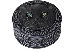 Adorable Black Cat Trinket Box Cat Trinkets