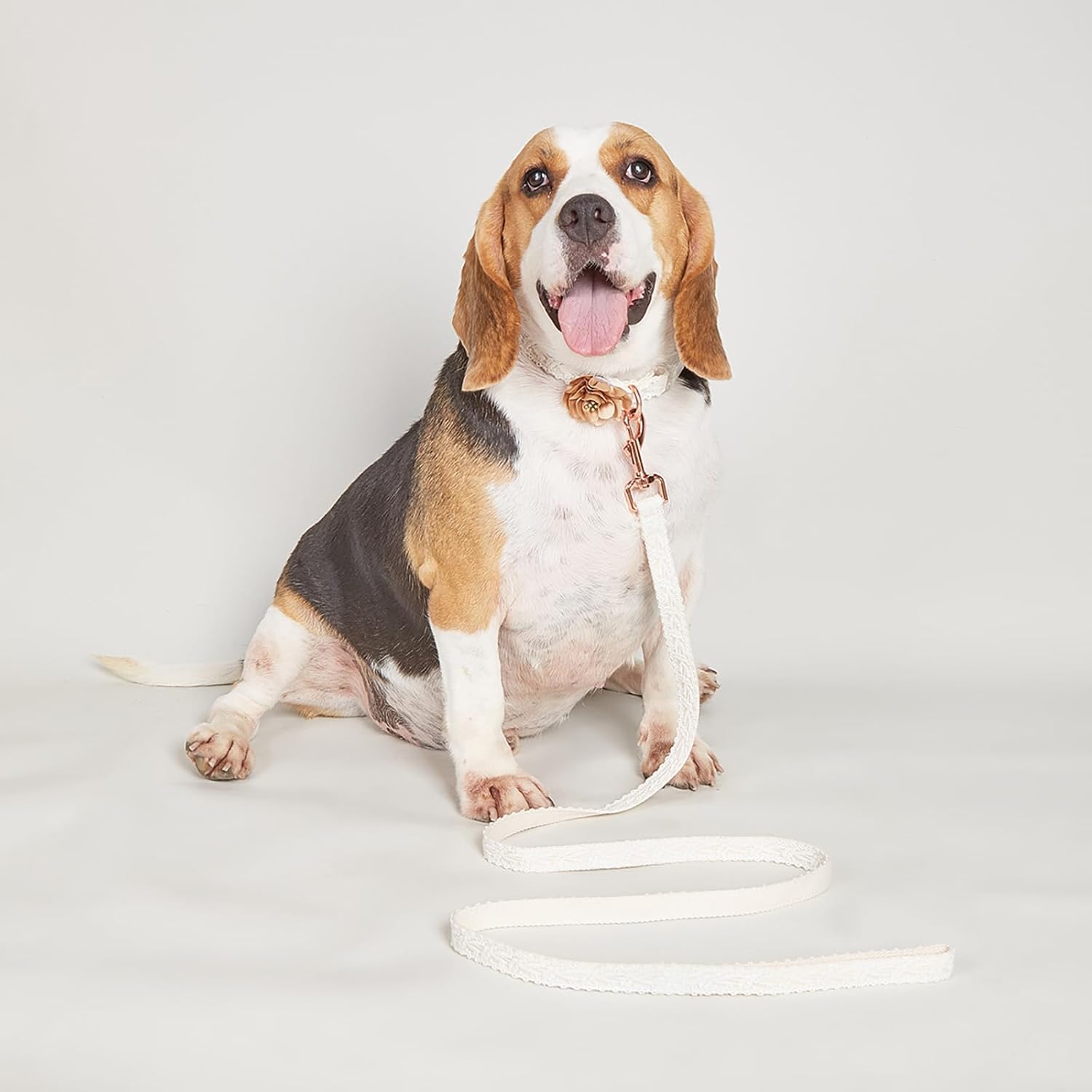 collare per animali domestici, Set collare e guinzaglio for cani, for in pizzo di cotone for bambine con fiore, comodi collari regolabili for fibbia in metallo(M)