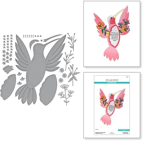 Miniatura 2 de Spellbinders Bibi Cameron - Juego de troqueles para creador de tarjetas de colibrí y sentimientos de colibrí a juego, juego de sellos transparentes