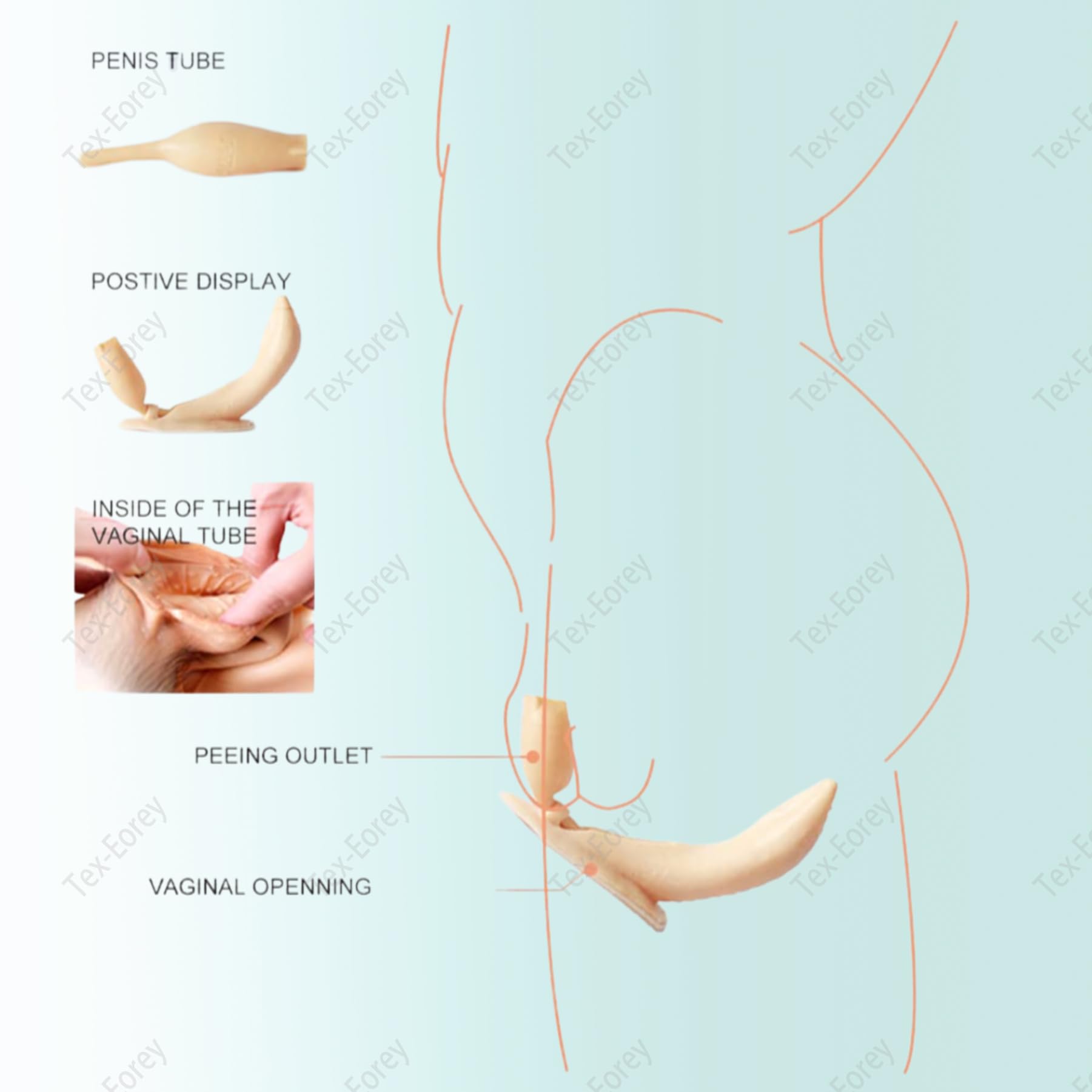 Pantalones De Vagina Realistas De Silicona Panty Gaff Oculto para Hombre Bragas De Elevación Falsa para Realzar Las Caderas para Travesti,Wheat(Upgrades),One Size