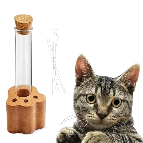 Cat Whisker Vase, Cat Whiskers Jar, Cat Whisker Holder, Cat
