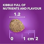 IAMS Advanced Health soutien à la mobilité, nourriture sèche pour chiens adultes – recette de poulet et grains entiers – Sac de 2,72 kg (6 lb)
