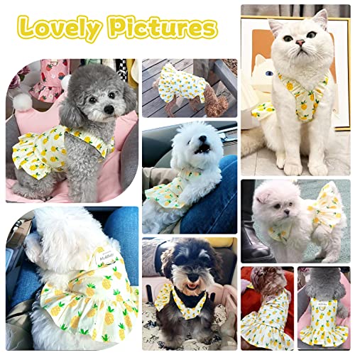 Petpubgnzs Small Dog Dress Harness And Leash Set Cute Princess Birthday Dog Dresses Soft Fruit Print Puppy Dresses Girl Dog Clothes For Small Dogs Cats Chihuahua Yorkie Shih Tzu (Yellow Pineapple,S) #TOP1