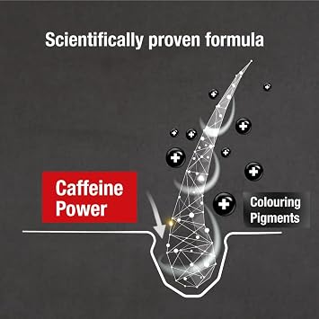 Alpecin Grey Attack Caffeine & Colour Shampoo for Men 2x 200ml | Gradually Darker and Stronger Hair | Controlled & Natural Looking Colour Effect for Less Greys | Against Thinning Hair