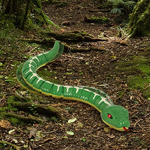 Serpent télécommandé TERRA cadeau idéal pour anniversaire enfant 6 ans - 6