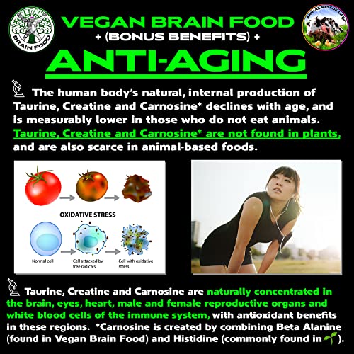 Vegan Brain & Body Boost: The Cherry On Top Of A Plant-Based Lifestyle | Working Intelligence | Anti-Aging | Physical Fitness | Vegan Amino Acids - Creatine, Taurine & Beta Alanine | 40 Servings/300G #TOP3
