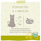 Ver la foto 3