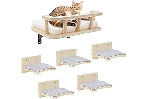 Cat Shelves and Perches for Wall - Cat Wall Furniture