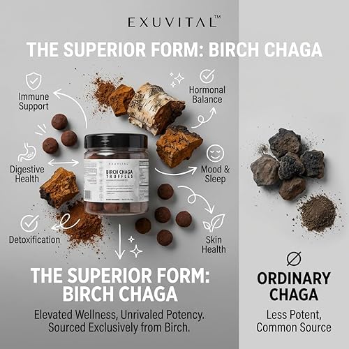 Miniatura 2 de Birch Chaga Truffles, Daily Wellness Support, Natural Superfood Bites, Immune Support, Skin Health, Gut Health, Hormonal Balance, with Dates,