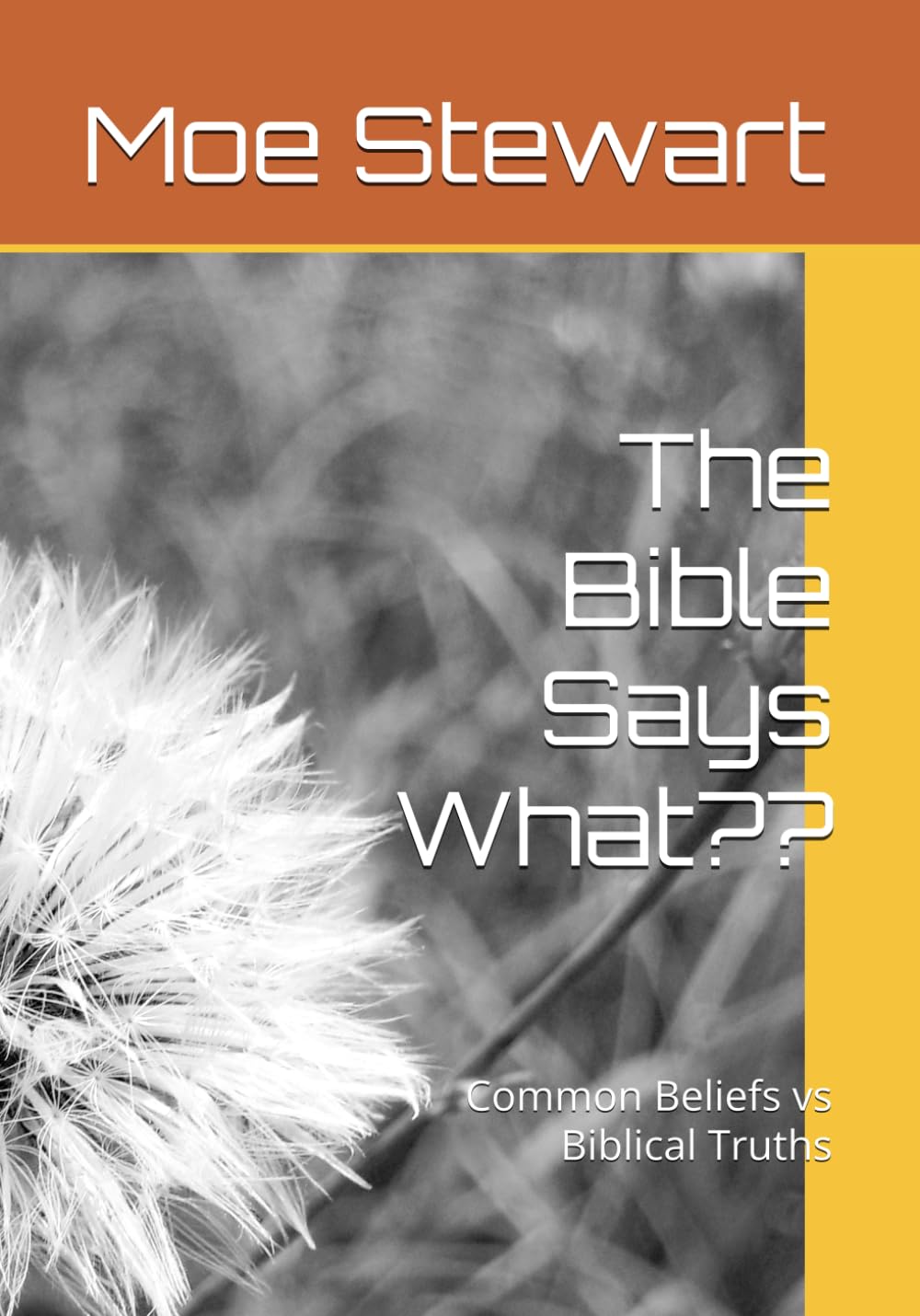 The Bible Says What??: Common Beliefs vs Biblical Truths