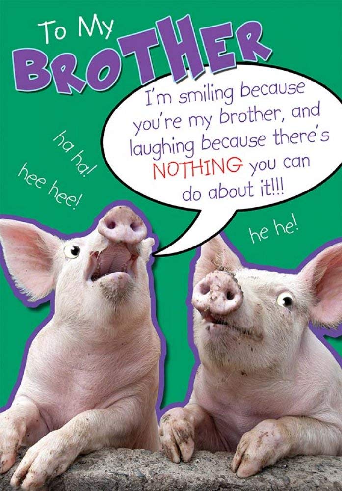Funny Brother Happy Birthday Greeting Card With Pigs By Regal Publishing