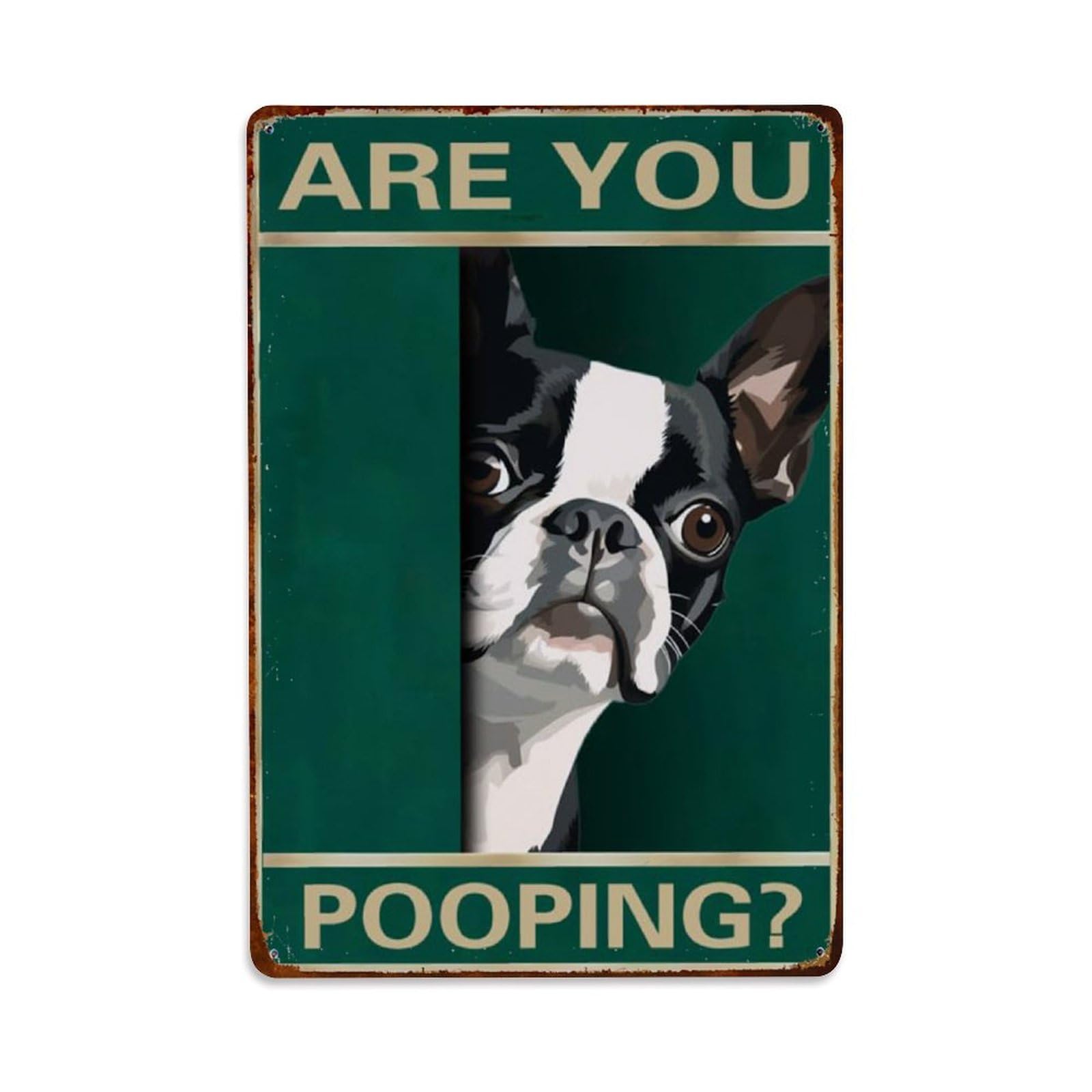 Rkundrne Vintage Boston Terrier Dog Are You Pooping Metal Tin Sign Garden Bedroom Cafe Bar Man Cave Home Wall Decor Metal Poster 8X12 In