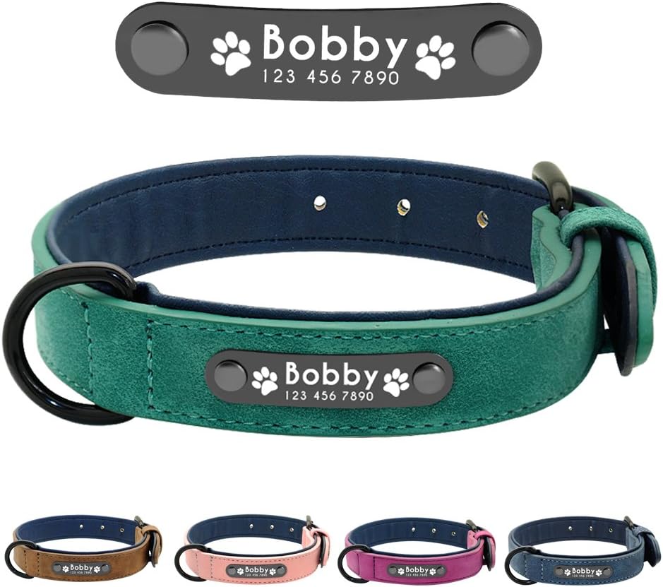 custom pet collars