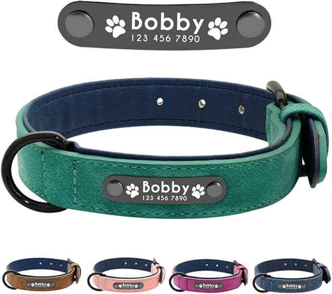 Didog Soft Leather Padded Custom Dog Collar with Personalized Nameplate