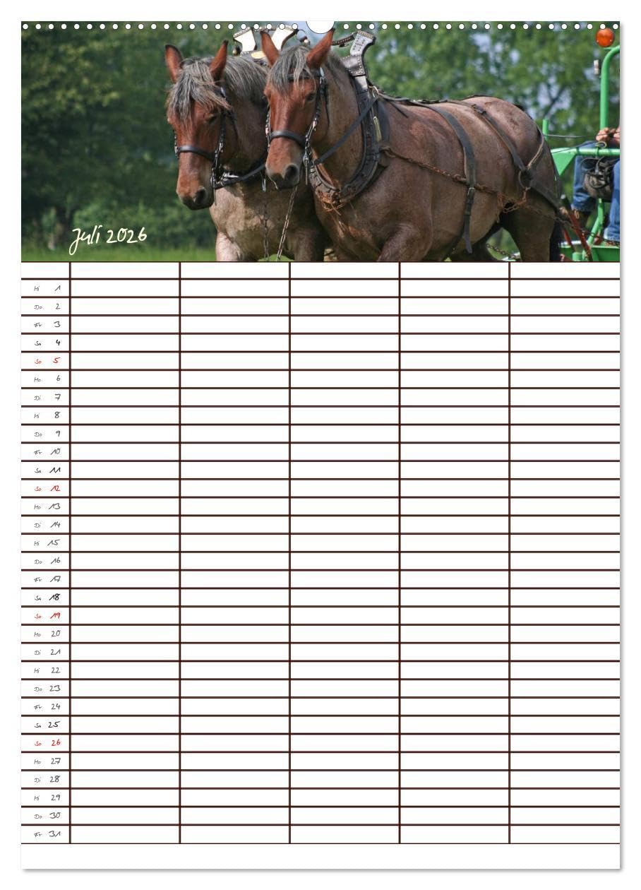 Der Kaltblut-Familienplaner (Wandkalender 2026 DIN A2 hoch), CALVENDO Monatskalender: Der Kaltblutkalender für die ganze Familie (CALVENDO Tiere)