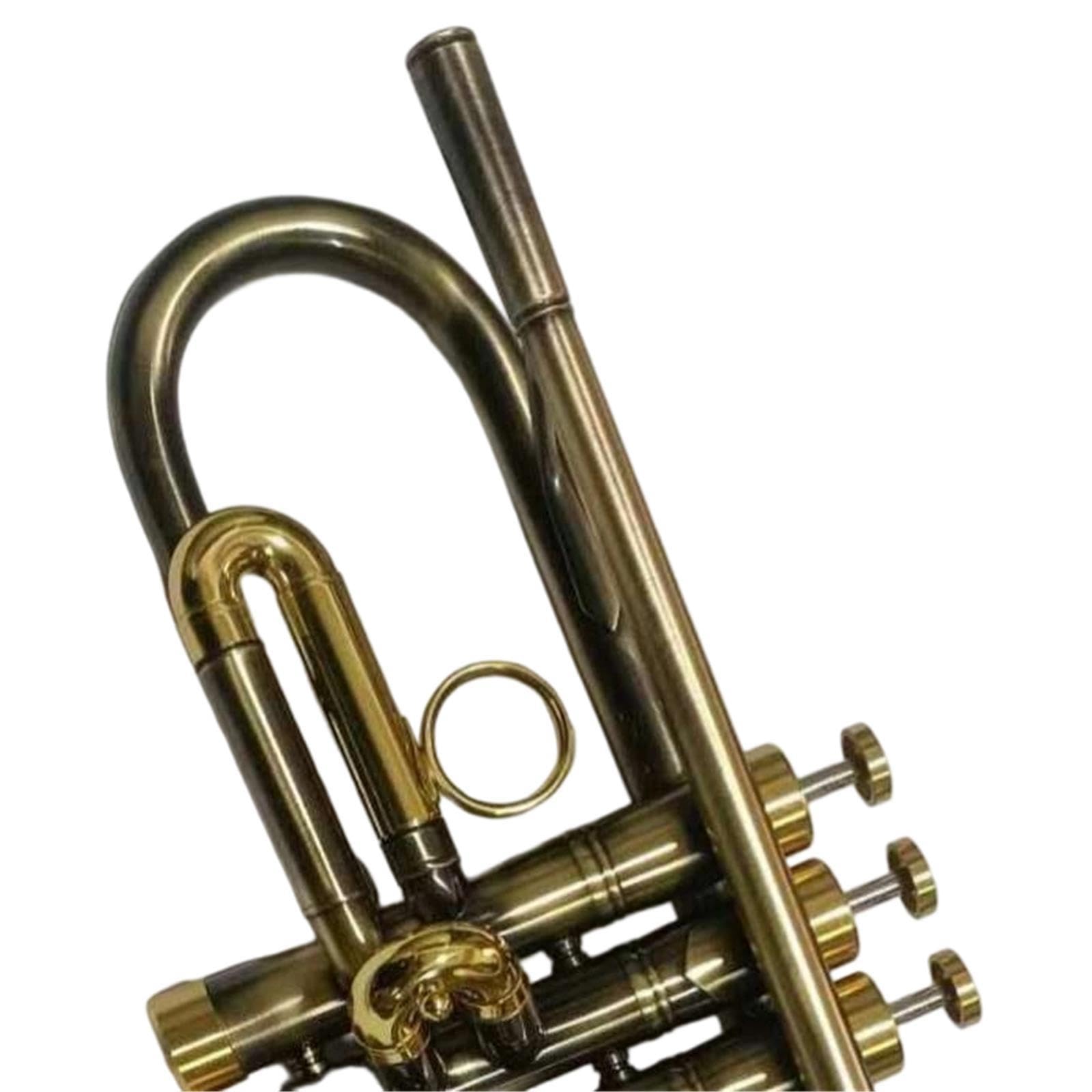 Trumpet Trompeta en si bemol principiante