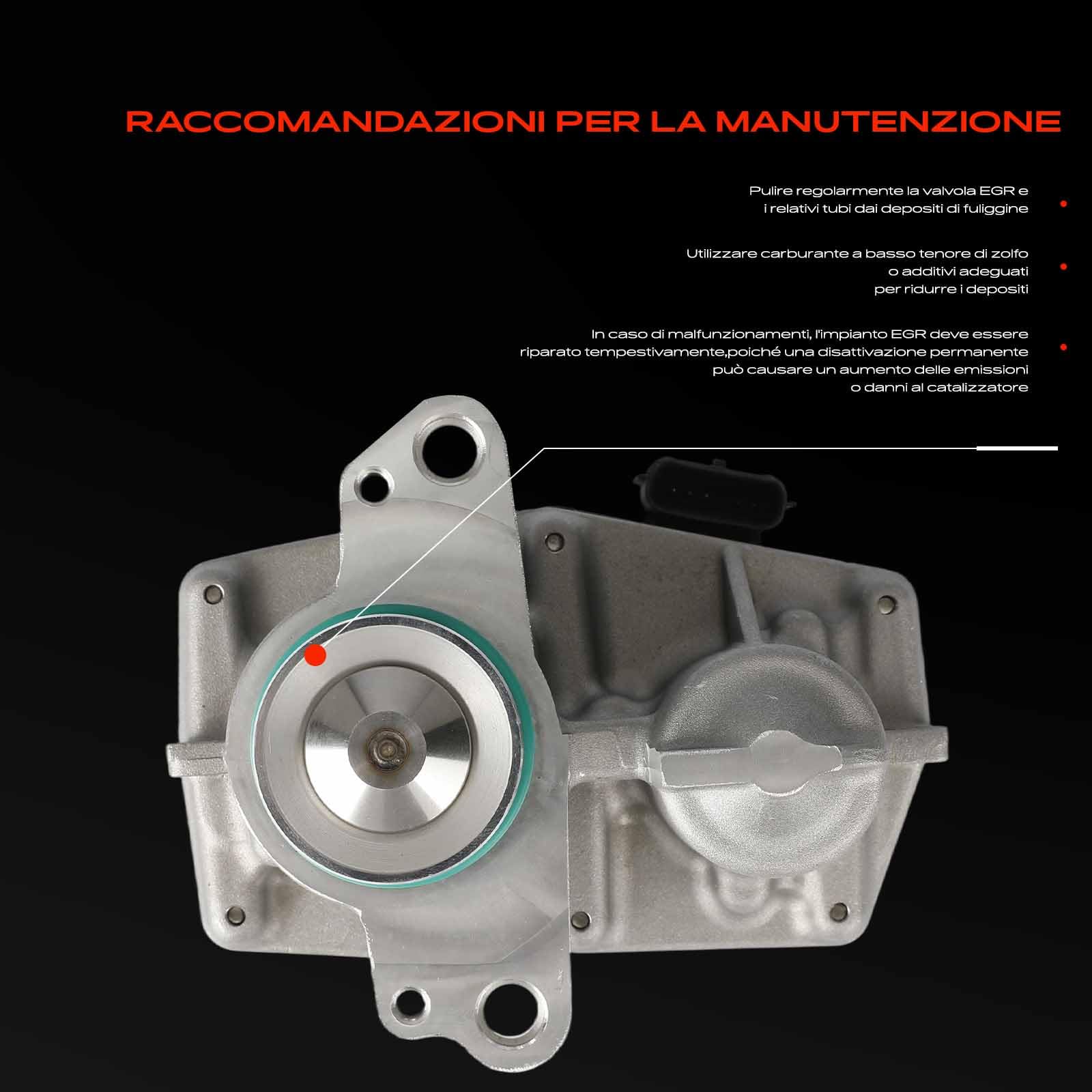 Frankberg Valvola EGR a 5 Poli 147109816R | Compatibile con: Vivaro Box, M.e.g.a.n.e IV Grandtour K9A/M_, M.e.g.a.n.e III Coupé DZ0/1_, Classe C W205, Kadjar HA_ HL_