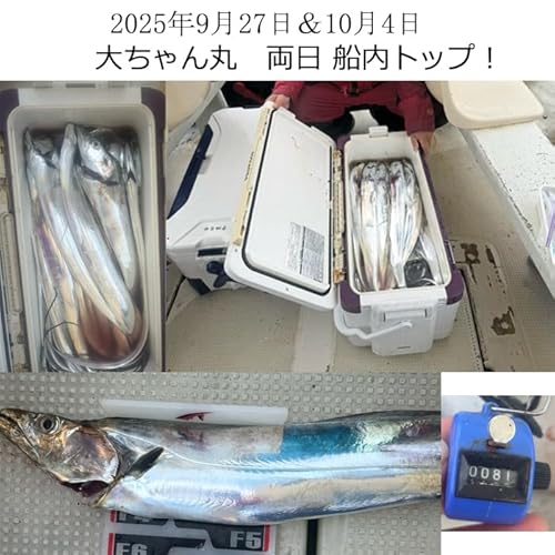 KAIRI フィッシュフォーミュラータチウオテンヤ用集魚剤