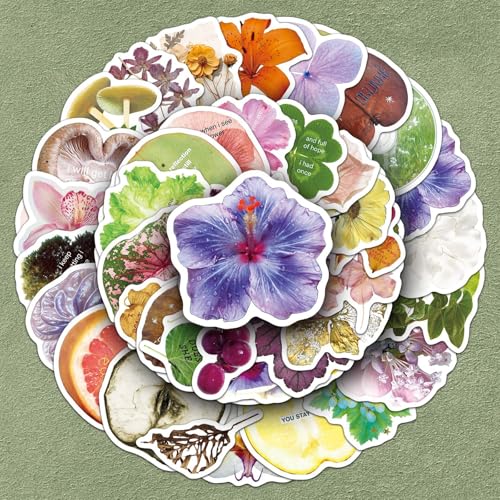 50Zbg {^jJ A[g XebJ[ Aj V[ h fJ[   lC m[gp\R p\R Xm{ XP[g{[h ו X[cP[X M^[  X}zP[X XP{[ J[ ] oCN wbgȂǗp