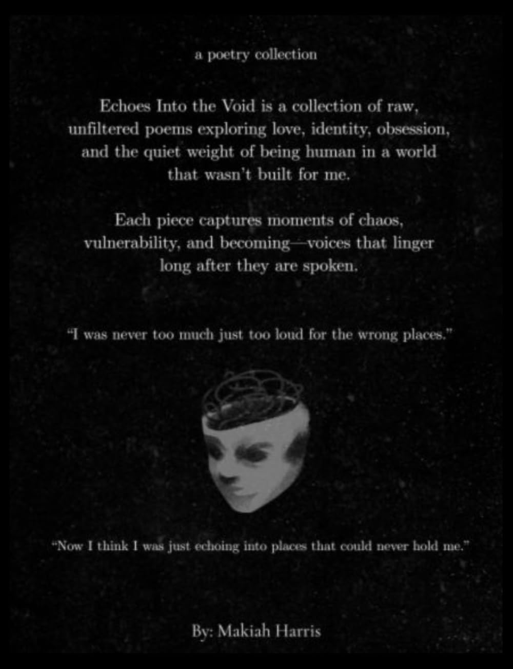 Echoes Into The Void