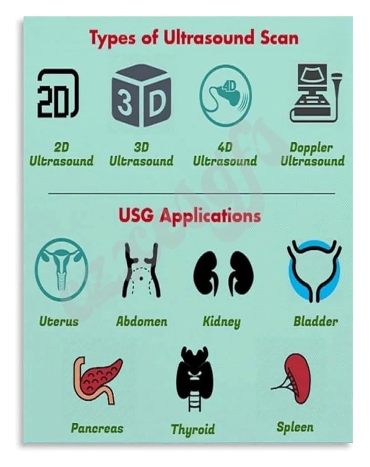AUOQKQUT Imaging Ultrasound Scan Techniques Educational Infographic Canvas Poster Print Framed,16x24inch(40x60cm)